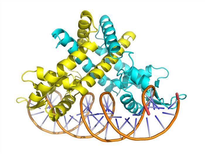 生物分子交互分析服务